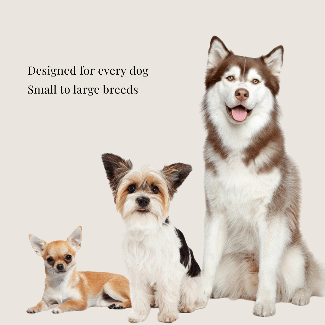 PawGuard Collar