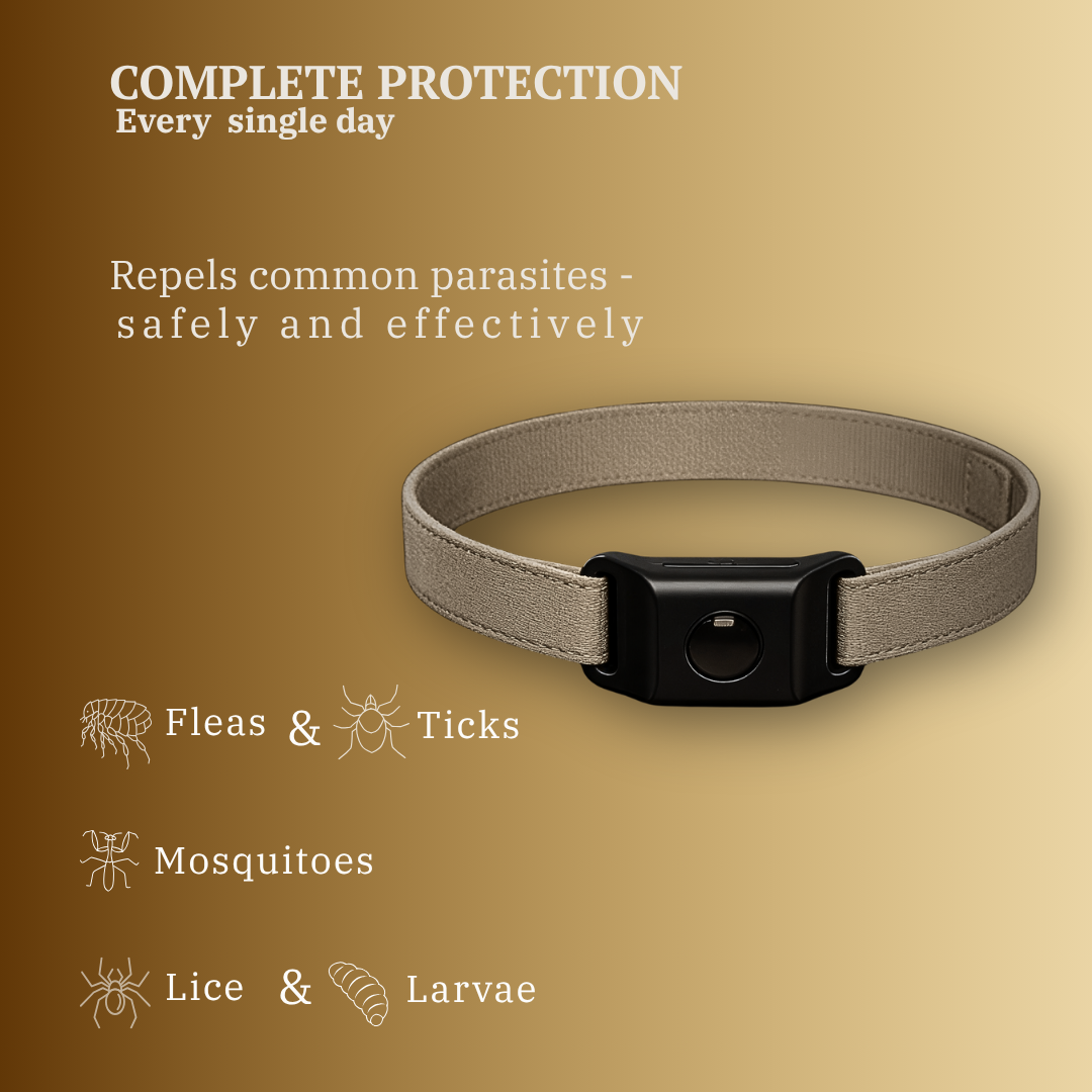PawGuard Collar