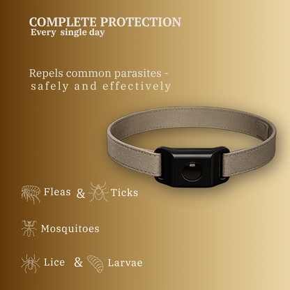 PawGuard Collar