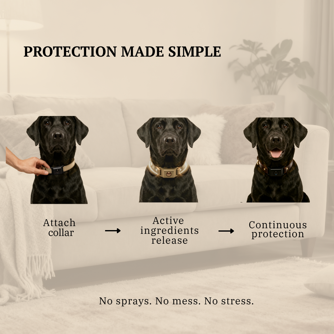 PawGuard Collar