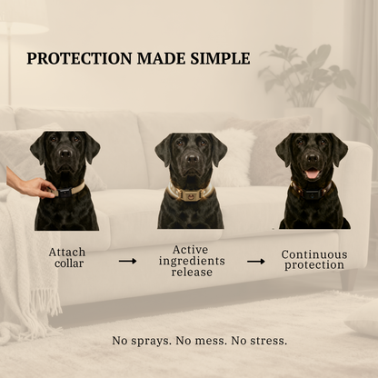 PawGuard Collar
