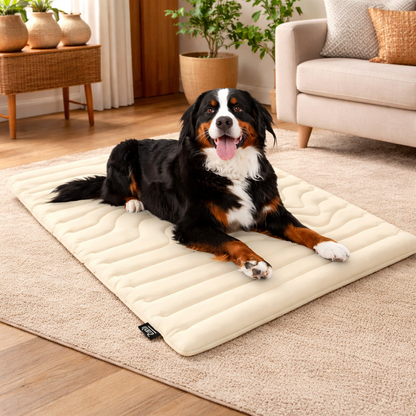 Stop Your Dog Overheating in Seconds - Even on the Hottest Days